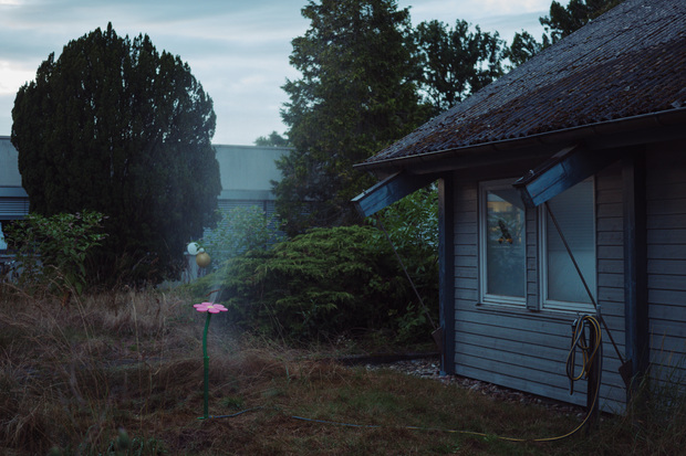 Bild:  Diplomarbeit - Erikas Töchter