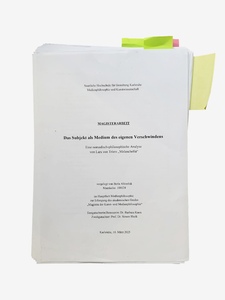 Picture: Das Subjekt als Medium des eigenen Verschwindens
