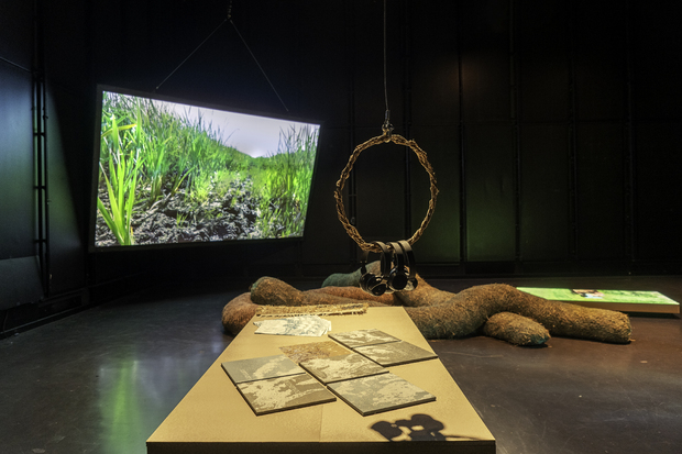 Bild:  Bilder der Ausstellung