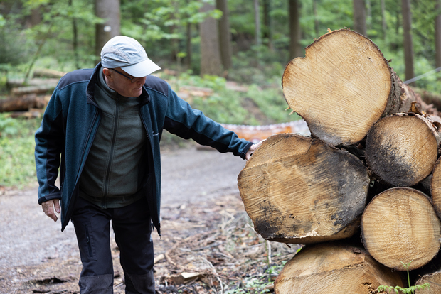 Picture: Education programme Wood