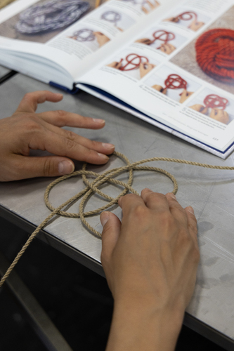 Bild:  Education programme Hemp