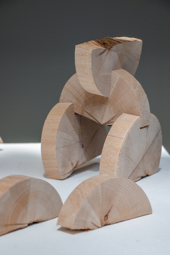 Picture: Education programme Wood