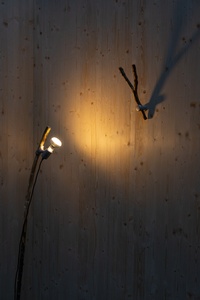 Picture: Diplom Austellung Forest Souvenirs