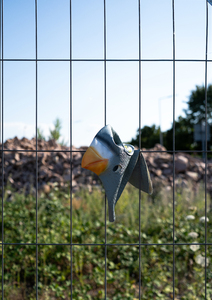 Bild:  No Feeding_06