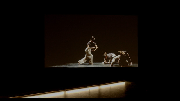 Picture: (Un)Stopped Motion