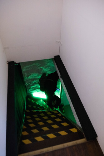 Picture: Ausstellungsdokumentation MS Guilty Pleasure