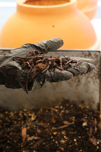 Bild:  Physical Living Library Composter