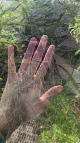 Bild:  video stills