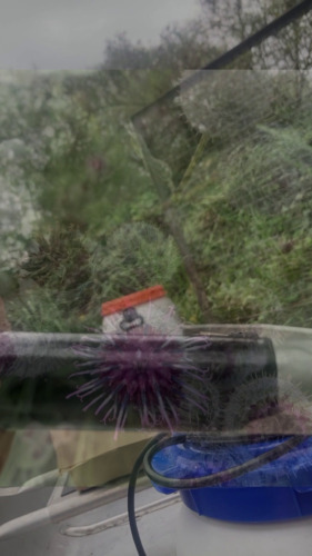 Bild:  video stills