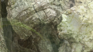 Bild:  video stills
