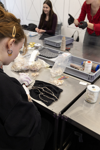 Picture: Education programme Mycelium