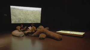 Bild:  video stills/Doku Video