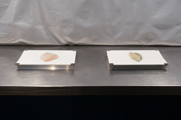 Bild:  Archivfoto_03