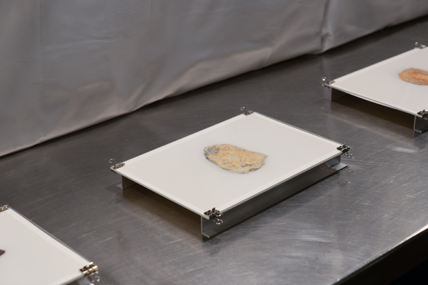 Bild:  Archivfoto_05