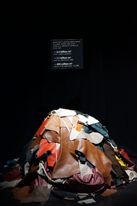 Bild:  Diplom Ausstellung