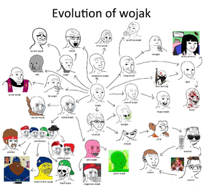 Bild:  In "Wojak Evolution Charts" verfolgen Nutzer:innen die Entwicklung des Memes nach.