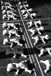 Picture: Ambassadors