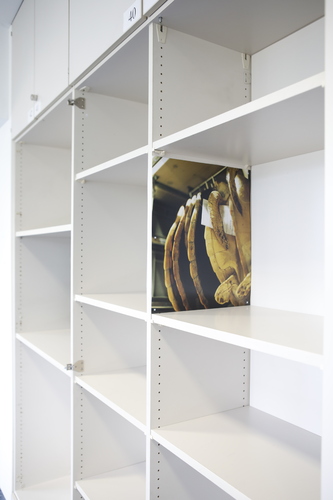 Picture: The Violent Container