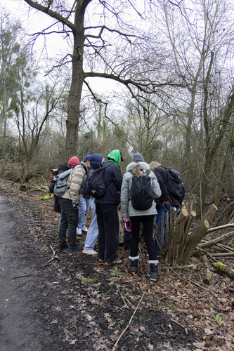Picture: Education programme Mycelium