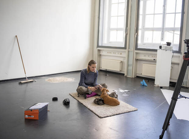 Bild:  Workshop mit einem Hund