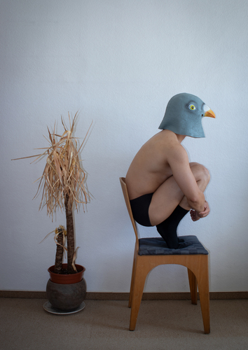 Bild:  No Feeding_07