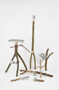 Bild:  Forest Souvenirs