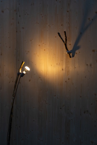 Bild:  Diplom Austellung Forest Souvenirs