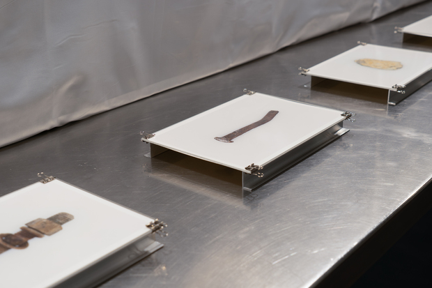 Picture: Archivfoto_01