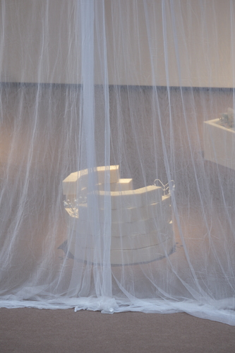 Picture: Imaginary Gardens with Real Toads in Them