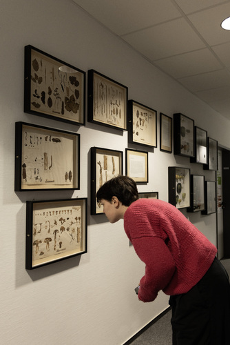 Picture: Education programme Mycelium