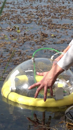 Bild:  video stills