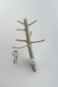Picture: Forest Hook 