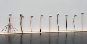 Bild:  Diplom Ausstellung, neun Freunde mit ihrem Forest Souvenir