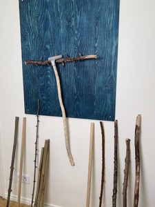 Picture: Prozess Forest Souvenirs