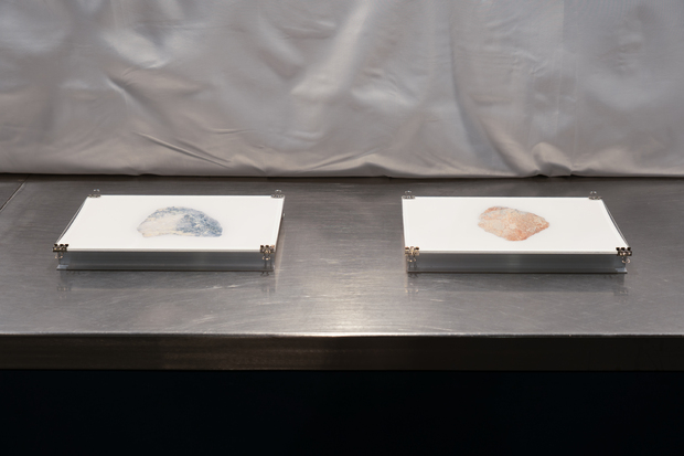 Picture: Archivfoto_04