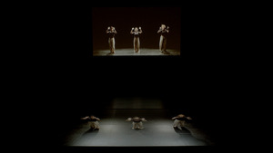 Picture: (Un)Stopped Motion