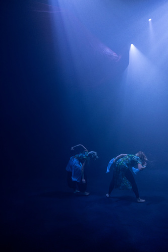 Picture: Midnight Zone