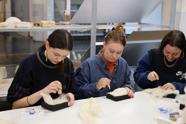 Picture: Education programme Wool