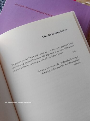 Picture: Buchseite aus Giorgio Agamben, Stanzen. Wort und Phantasma in der abendländischen Kultur (2005), mit Zitaten von Rainer Maria Rilke und Friedrich Hölderlin - Forschungsliteratur