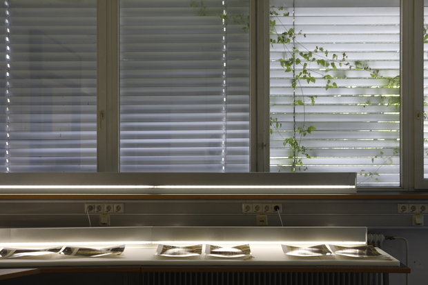 Picture: The Violent Container