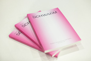 Bild:  Launch von Schwarm