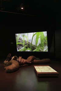 Bild:  Bilder der Ausstellung