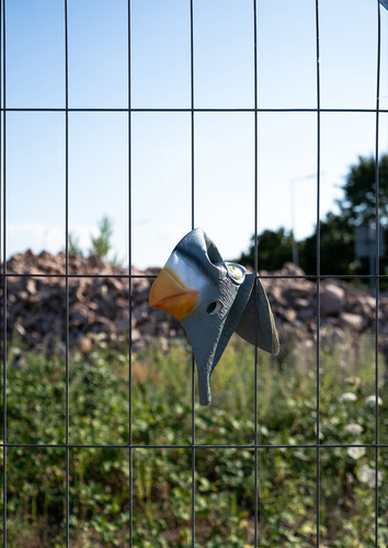 Bild:  No Feeding_06