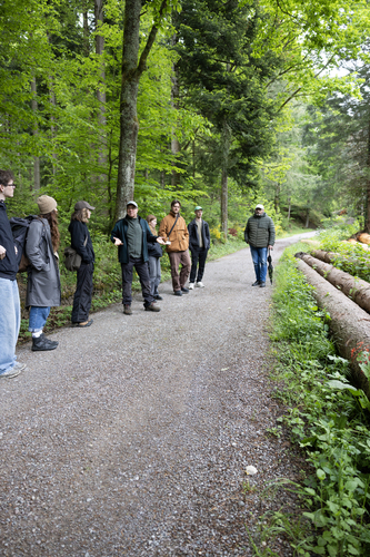 Picture: Education programme Wood