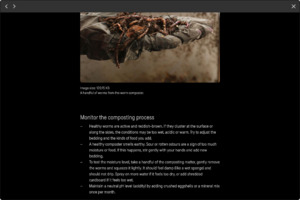 Bild:  Wie du deinen eigenen Wurmkomposter herstellst (Digitale Living Library)