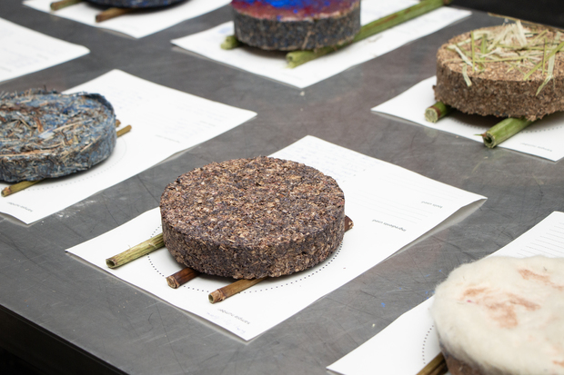 Bild:  Education programme Invasive plants