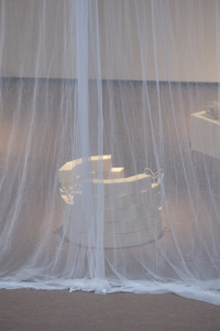 Picture: Imaginary Gardens with Real Toads in Them