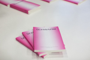 Picture: Launch von Schwarm