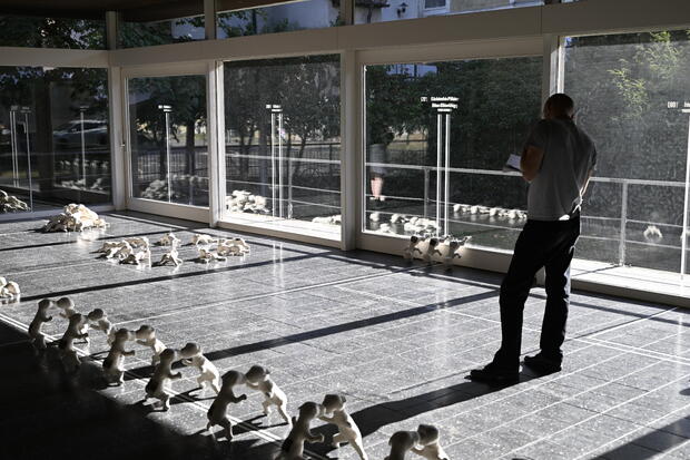 Picture: Ambassadors - Ausstellungsansicht