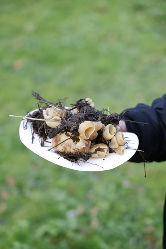 Picture: Education programme Compost
